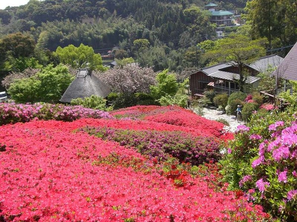 【直方・小竹・新飯塚・飯塚発】 旧鍋島家の別荘地 十可苑一般開放と青葉の日本庭園 環境芸術の森 佐賀牛・うなぎ・海鮮 3色ミニ丼 日帰り2